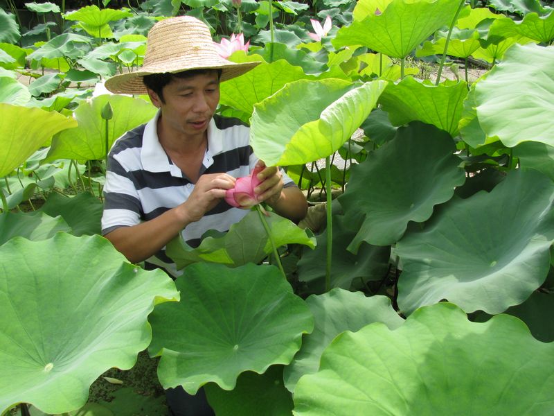 点击浏览下一页